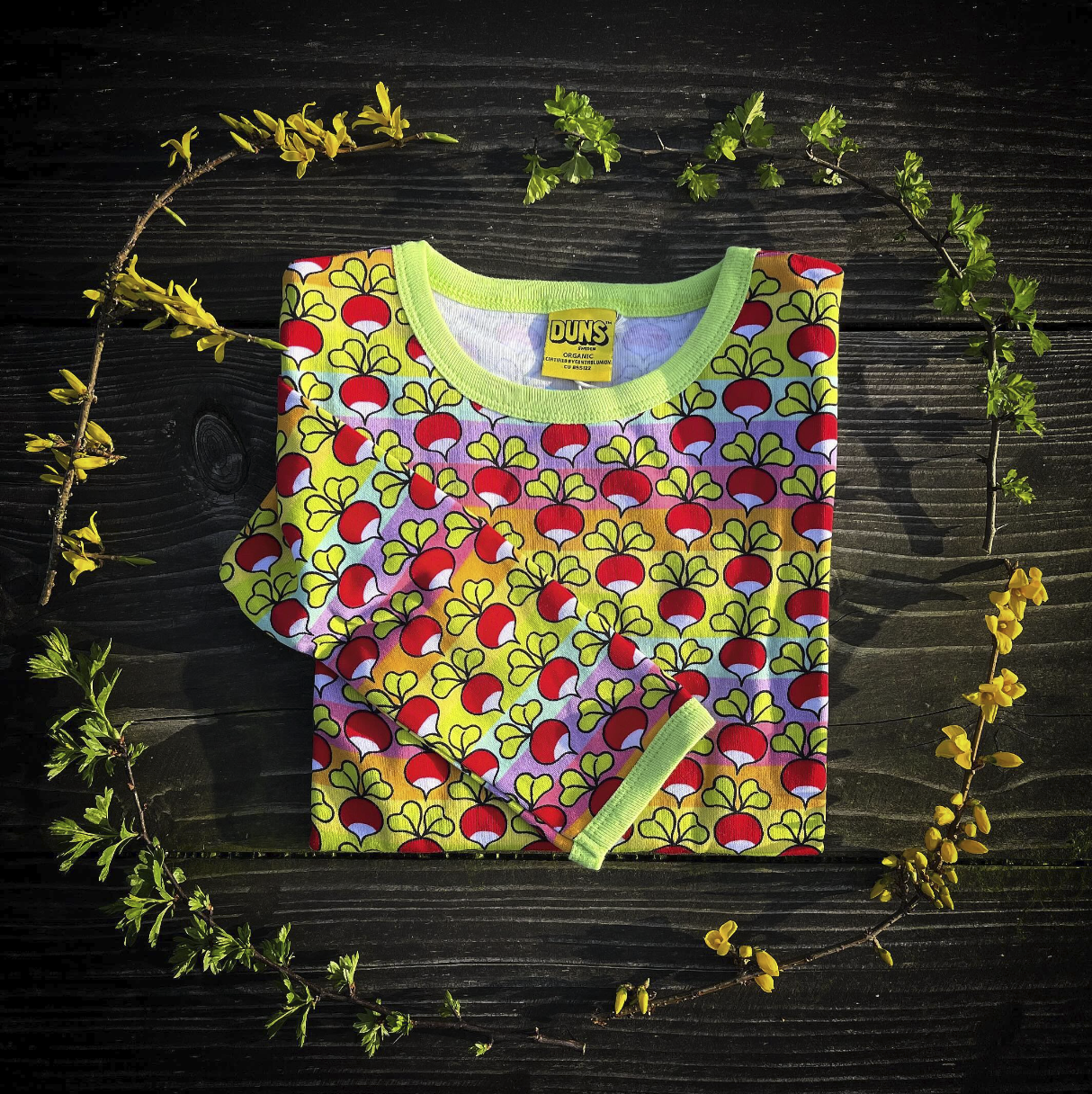 Duns Sweden - Rainbows