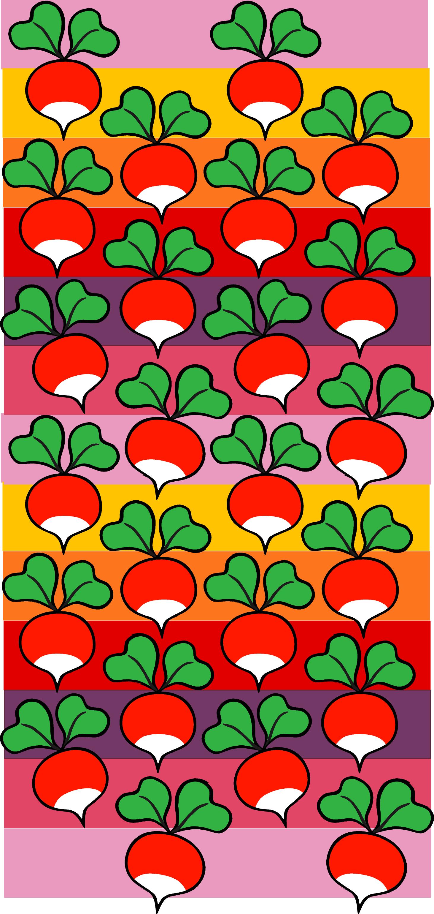 Duns Sweden - Onesie Radish Stripe Poppy Red -  Hooded Suit Radijsjes Rood/Oranje Gestreept