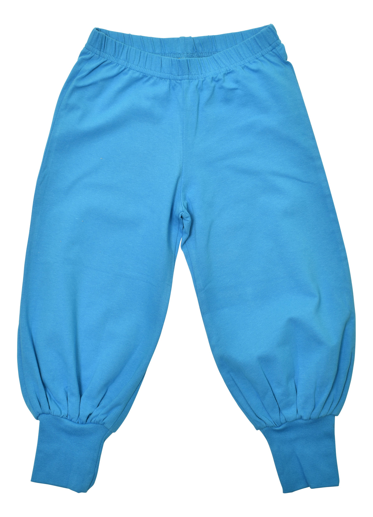More Than A Fling Baggy Pants Dresden Blue