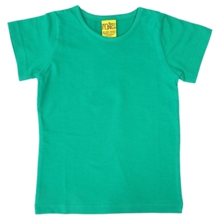 More Than A Fling T Shirt Jade - Jade groen/blauw Shirt