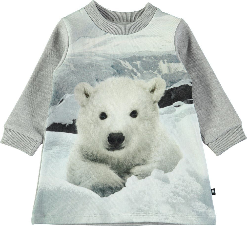 Molo - Corey Longsleeve Sweater Dress Baby Polar Bear - Sweatjurk lange Mouwen Baby IJsbeer
