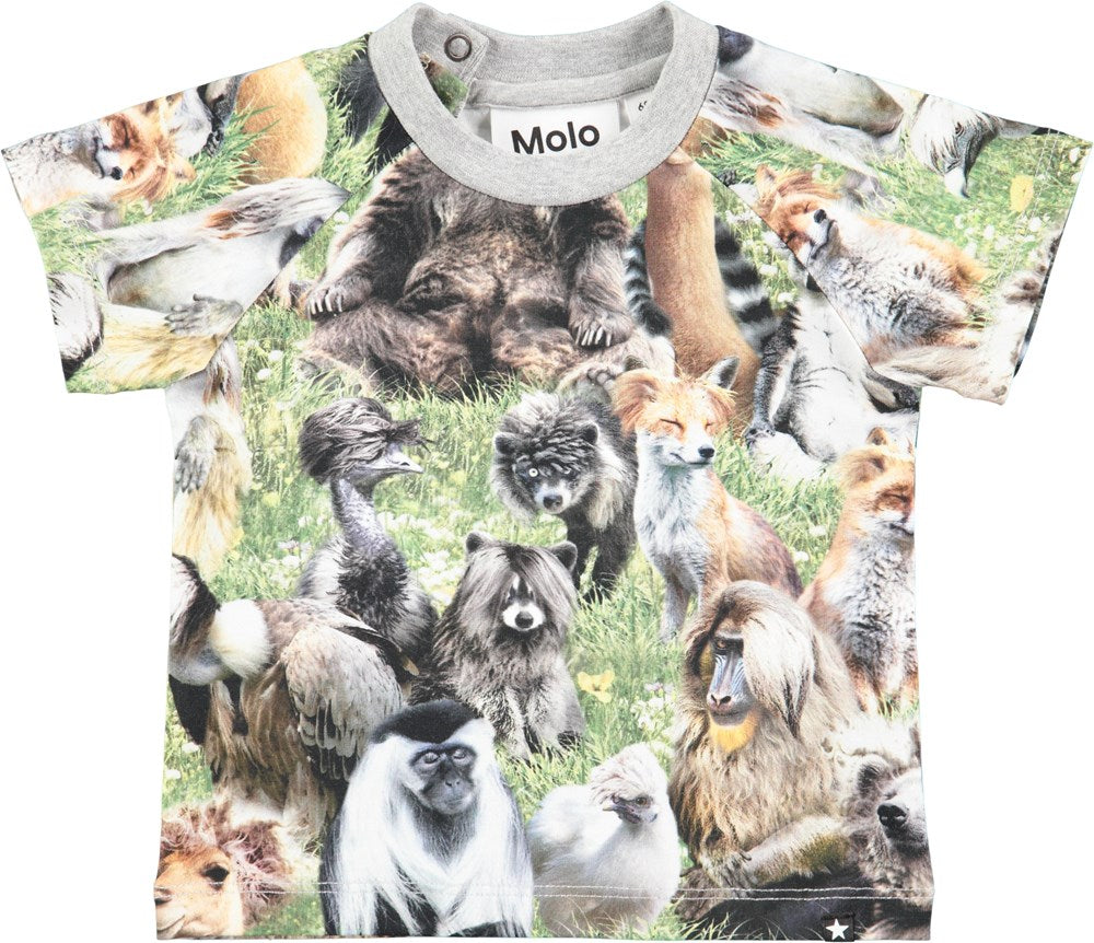 Molo - Emmett T-shirt Hairy Animals - T-shirt Harige Dieren